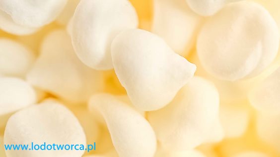 Najzdatniejsze lody włoskie w Rzeszowie