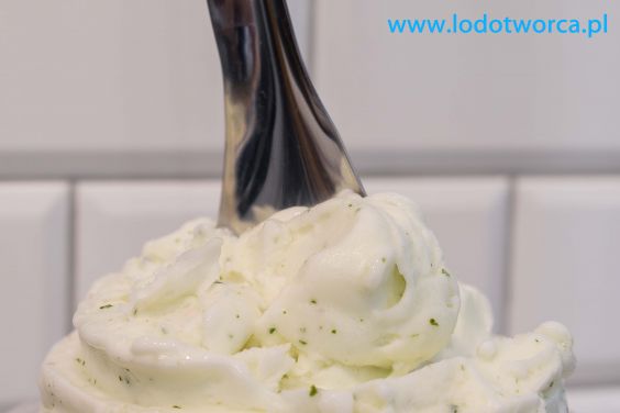 Fantastyczne lody Rzeszów