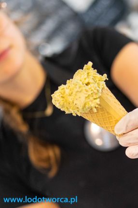 Porywające lody Rzeszów
