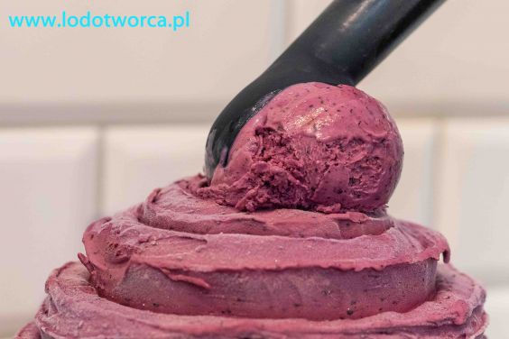 Lody Rzeszów najładniejsza lodziarnia