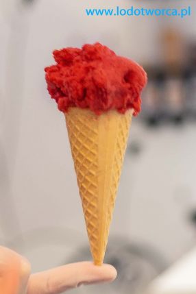 Lody Rzeszów najodpowiedniejsza lodziarnia