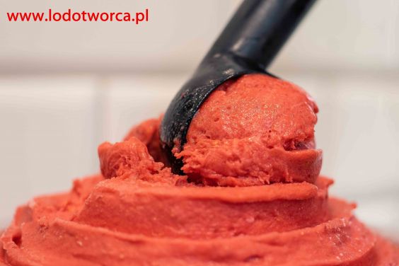 Lody Rzeszów najdoskonalsza lodziarnia